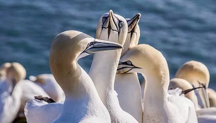 开云体育_ NBA中小球队的成功之道：如何逆袭？，nba开打